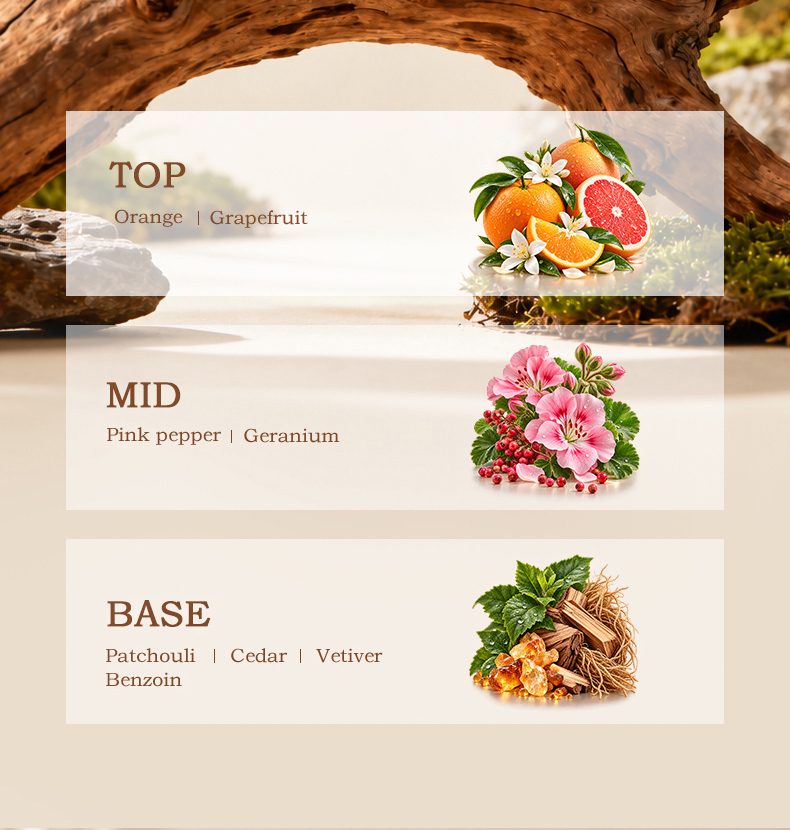 1793158772263354.jpg pf2191-spicy-woody-fragrance-profile (3).jpg